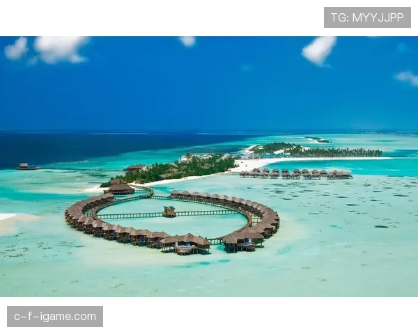 乌迪内斯防线坚如磐石，稳健表现赢得广泛赞誉